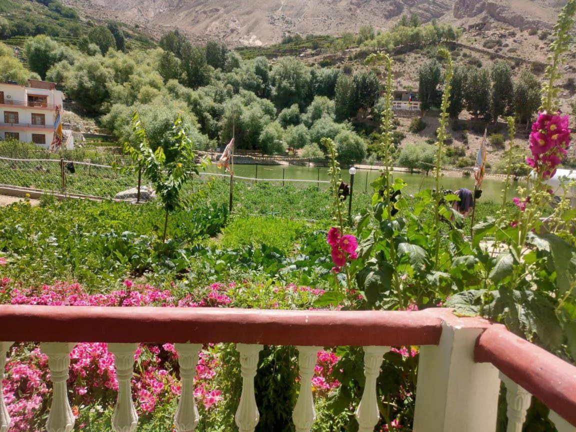 Hotel Lake View Nako Dış mekan fotoğraf